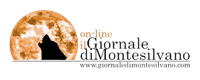 giornaledimontesilvano.com