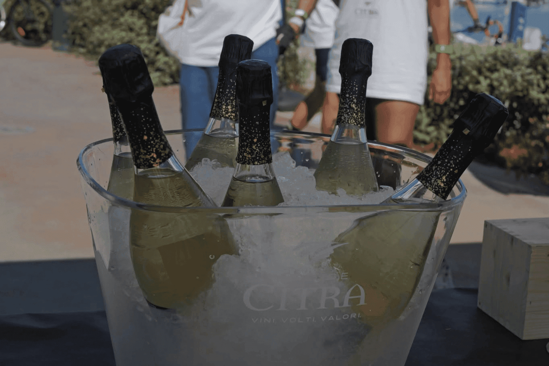 Art Bike & Run + Wine 2026 - Una Costa da Vivere - Da Ponte a Ponte (2)