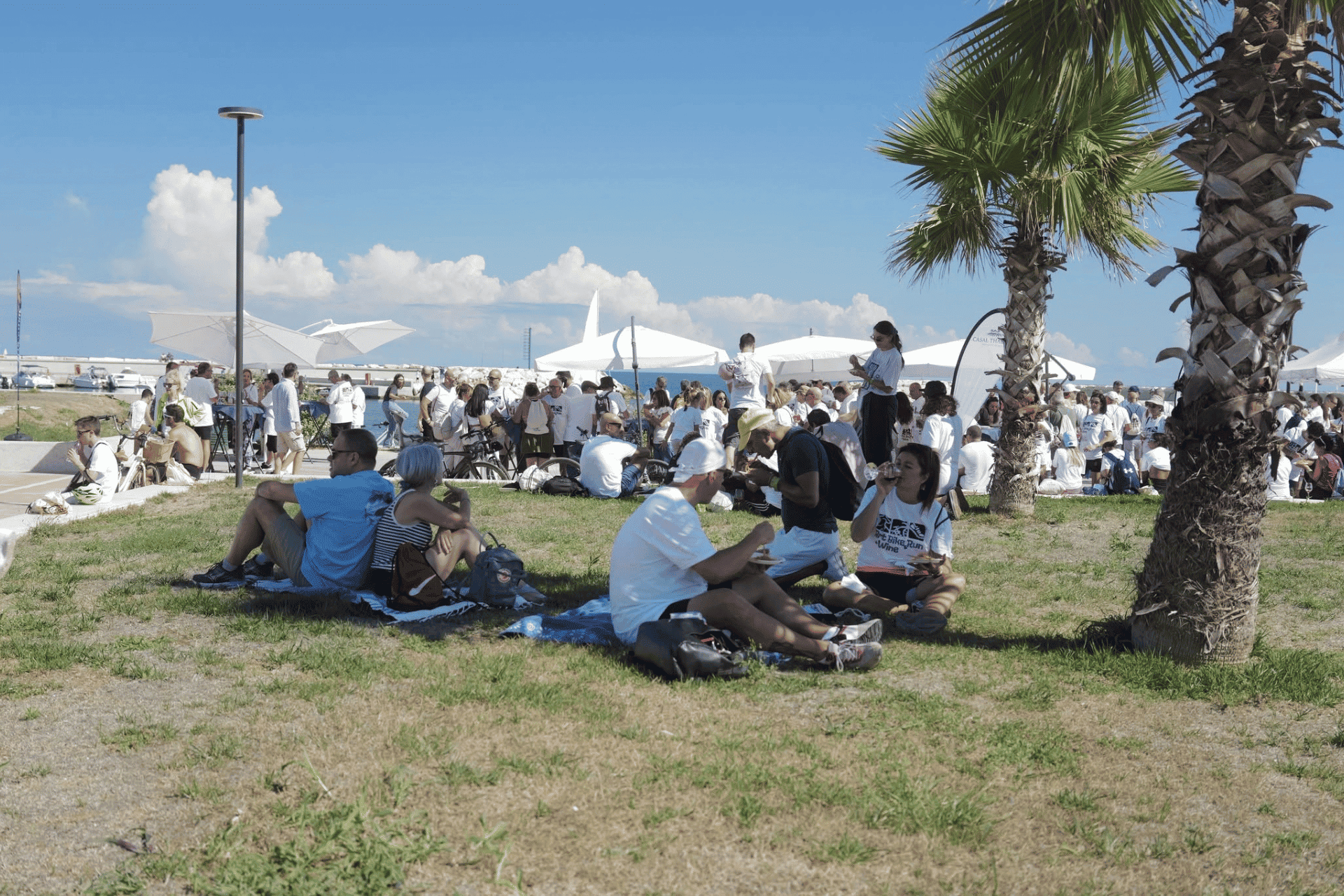 Art Bike & Run + Wine 2026 - Una Costa da Vivere - Da Ponte a Ponte (20)